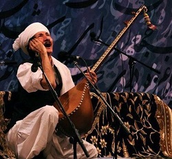 جزئیاتی از شانزدهمین جشنواره موسیقی نواحی ایران