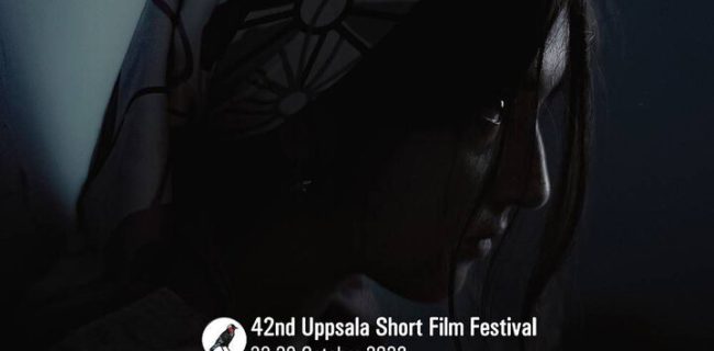 راهیابی فیلم کوتاه «سیزده سالگی» به جشنواره آپسلا سوئد