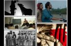 ۱۱ اثر ایرانی در سی و پنجمین جشنواره فیلم های ایرانی شیکاگو