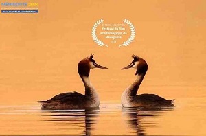 راهیابی مستند «کشیم عاشق» به جشنواره «منیگوت»