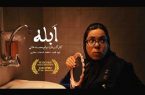 «ابله» جایزه بهترین بازیگر زن را دریافت کرد/«درمانگاه» آماده نمایش شد
