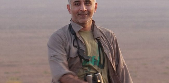 نتفلیکس درآمد بالایی از مستند دارد؛ مستندی درباره احیای گور ایرانی