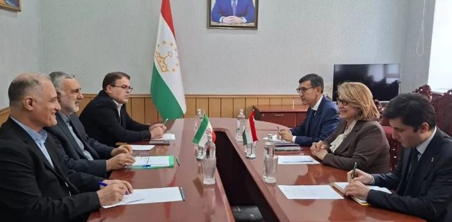 تشکیل کارگروه مشترک فرهنگی ایران و تاجیکستان تشکیل کارگروه مشترک فرهنگی ایران و تاجیکستان